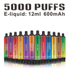 Disposable Vape E Cigarette adjustable flow 5000 Puffs