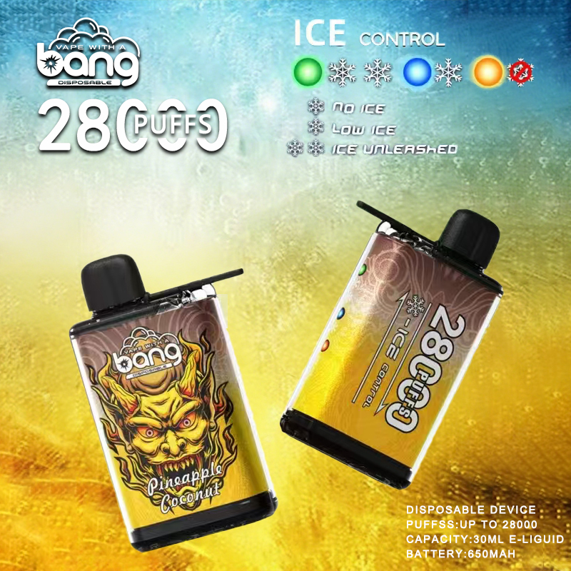 Popular Disposable Electronic Cigarette Wholesale Big Bang 28000 Puff Vape Adjustable Ice