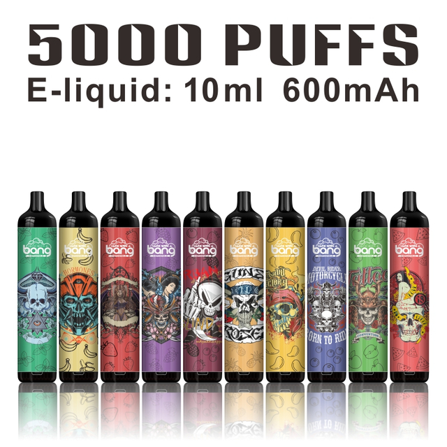 China 10ml Rechargeable Vape Pen 5000puffs Disposable Vape