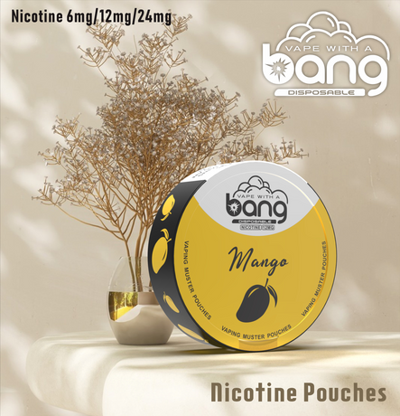 Factory sales Bang VAPING MUSTER POUCHES Nicotine 6mg/12mg/18mg 